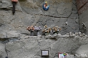 VBS_5365 - Santuario Madonna della Rocca - Dogliani